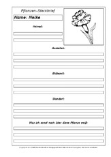 Pflanzensteckbriefvorlage-Nelke-SW.pdf